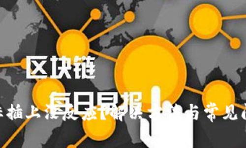 USB鼠标插上没反应？解决方法与常见问题详解