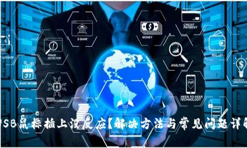 USB鼠标插上没反应？解决方法与常见问题详解