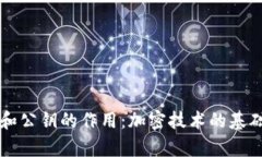 私钥和公钥的作用：加密技术的基础解析