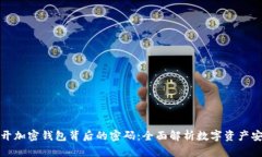 揭开加密钱包背后的密码：全面解析数字资产安