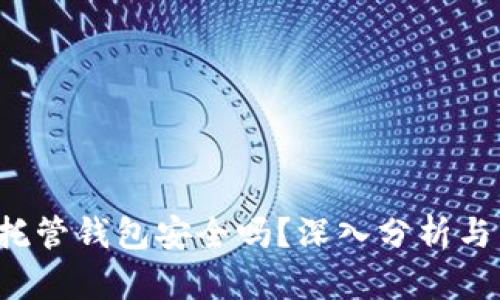  虚拟币托管钱包安全吗？深入分析与用户指南
