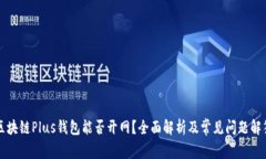 区块链Plus钱包能否开网？全面解析及常见问题解