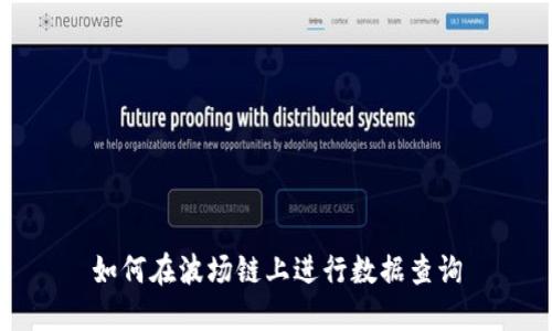 如何在波场链上进行数据查询