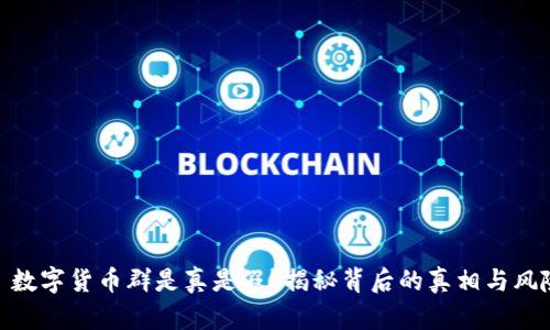 : 数字货币群是真是假？揭秘背后的真相与风险