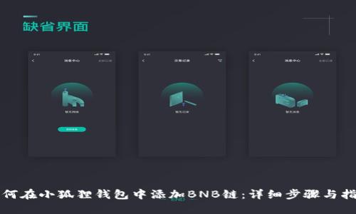 如何在小狐狸钱包中添加BNB链：详细步骤与指南