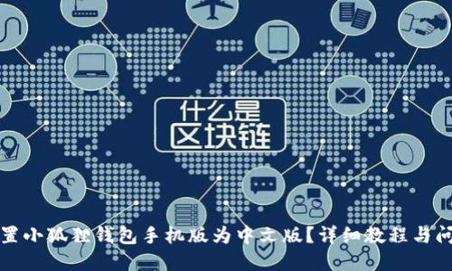 如何设置小狐狸钱包手机版为中文版？详细教程与问题解答