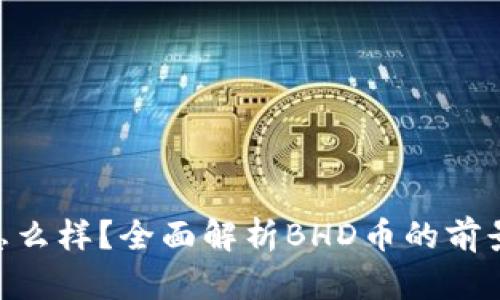 BHD币怎么样？全面解析BHD币的前景与用途