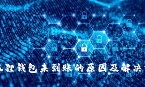 小狐狸钱包未到账的原因及解决方法