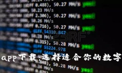 数字货币钱包app下载：选择适合你的数字资产管理工具