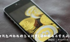 小狐狸钱包网络选择怎么设置？详细指南与常见