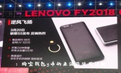 : 购宝钱包g币的来源及使用详解