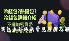 小狐狸钱包未到账的常见原因及解决方案