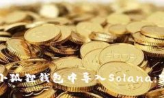 如何在小狐狸钱包中导入Solana：完整指南