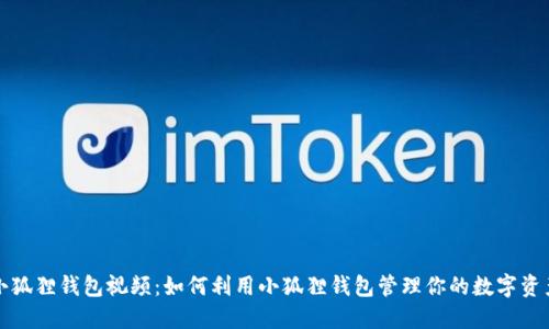 小狐狸钱包视频：如何利用小狐狸钱包管理你的数字资产