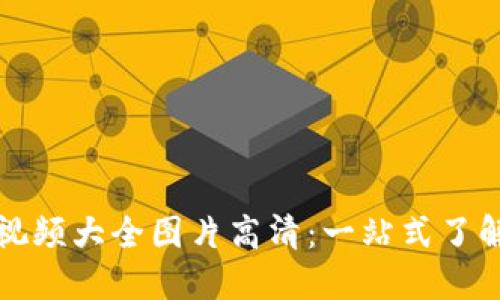 小狐狸钱包视频大全图片高清：一站式了解与使用指南