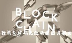 小狐狸钱包密码无效的原因与解决方法
