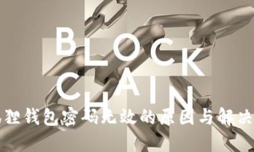 小狐狸钱包密码无效的原因与解决方法