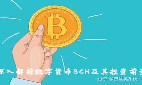 深入解析数字货币BCH及其投资前景