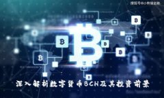 深入解析数字货币BCH及其投资前景