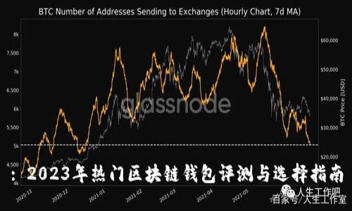 : 2023年热门区块链钱包评测与选择指南