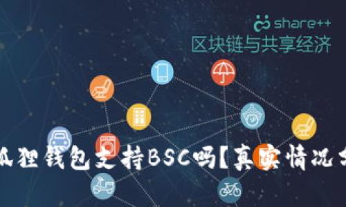 小狐狸钱包支持BSC吗？真实情况分析