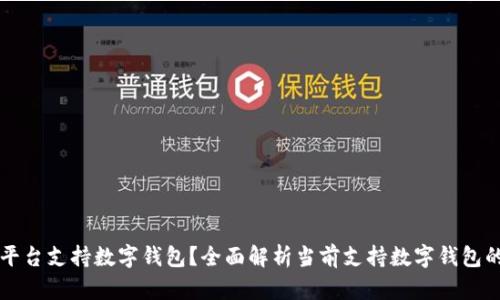 哪些平台支持数字钱包？全面解析当前支持数字钱包的平台