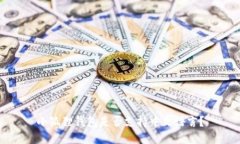 小狐狸钱包是否支持中文语言？