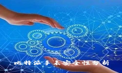 比特派手表安全性分析