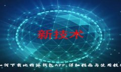 如何下载比特派钱包APP：详细指南与使用技巧