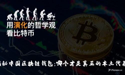 揭秘中国区块链钱包：哪个才是真正的本土代表？