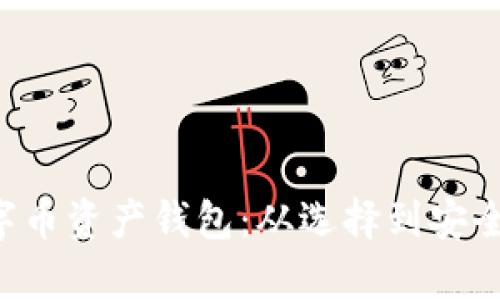 全面解析数字币资产钱包：从选择到安全，全方位指导