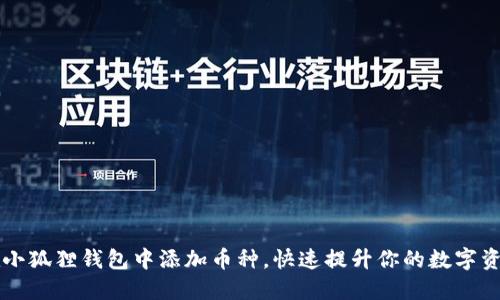 如何轻松在小狐狸钱包中添加币种，快速提升你的数字资产管理能力