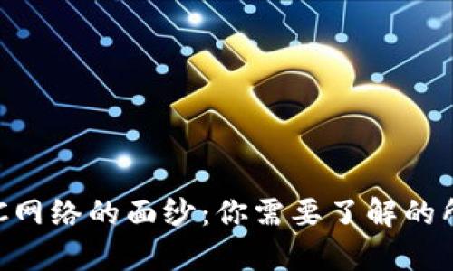 揭开USC网络的面纱：你需要了解的所有信息