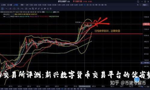 Topay交易所评测：新兴数字货币交易平台的优劣势分析