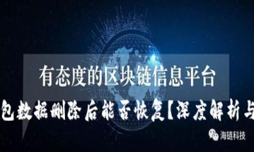 区块链冷钱包数据删除后能否恢复？深度解析与投资者指南