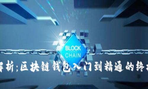 全面解析：区块链钱包入门到精通的终极指南
