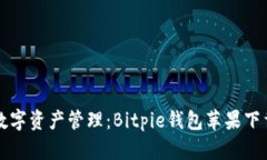 畅享数字资产管理：Bitpie钱包苹果下载指南
