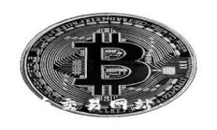 如何选择最佳的加密货币交易网站：从新手到高