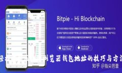 轻松掌握区块链浏览器钱包地址的技巧与方法