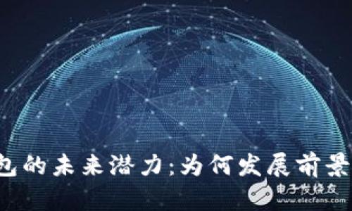 区块链钱包的未来潜力：为何发展前景面临挑战？