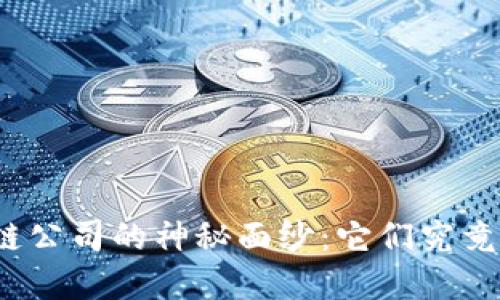 揭开区块链公司的神秘面纱：它们究竟在做什么？