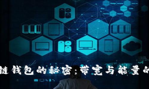 揭开区块链钱包的秘密：带宽与能量的深度解析