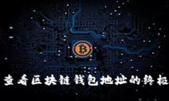 轻松查看区块链钱包地址的终极指南