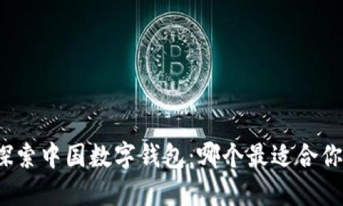 探索中国数字钱包：哪个最适合你？