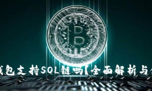 小狐狸钱包支持SOL链吗？全面解析与使用指南
