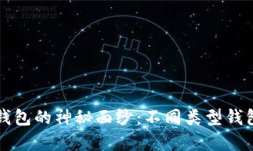 揭开区块链钱包的神秘面纱：不同类型钱包的深度解析