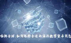 畅游全球：如何选择合适的海外数字货币钱包