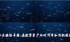 探秘区块链币圈：在数字资产的时代中如何把握