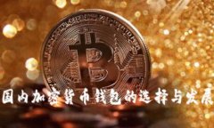探索国内加密货币钱包的选择与发展趋势