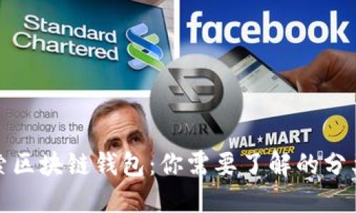深入探索区块链钱包：你需要了解的分类与选择